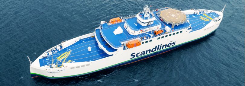 NB1090 THE BALTIC WHALE