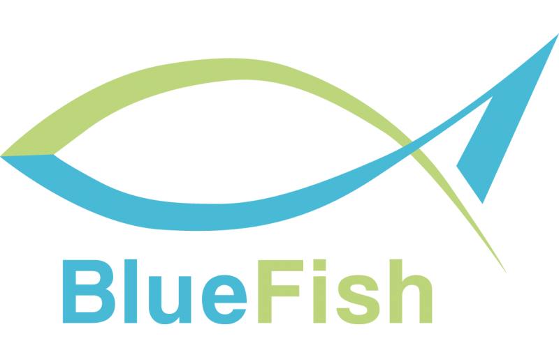 Blue Fish 2019