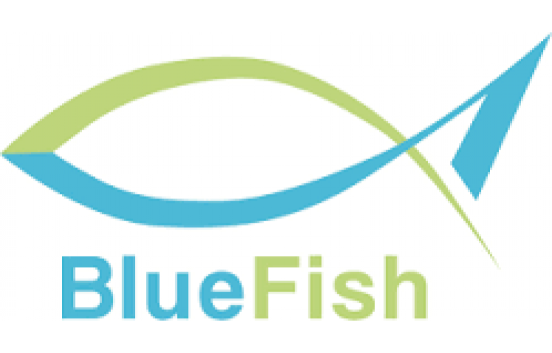 Bluefish 2022