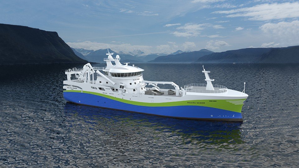 New Contract! 
Norwegian Beauty "Selvåg Senior"