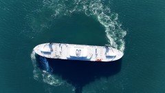 Gallery Item 3 Thumbnail