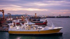 Gallery Item 5 Thumbnail