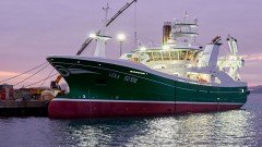 Gallery Item 13 Thumbnail