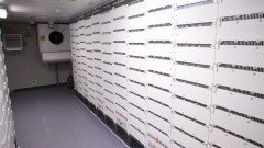 Gallery Item 13 Thumbnail